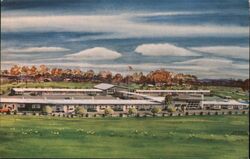 Meadowbrook Motor Inn Postcard