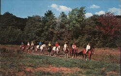 Horse Riding - Camp Mohawk Postcard