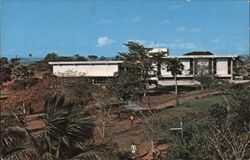 Air View of the University Catholic Mother and Teacher Postcard