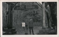 Entrance to Muir Woods Postcard