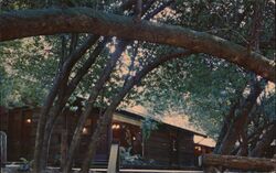 Gift Shop Muir Woods Postcard