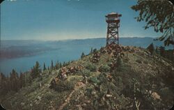 Trail Rides in North Idaho - Kaniksu National Forest Postcard