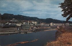West Linn Division, Crown-Zellerbach Pulp and Paper Mill Postcard