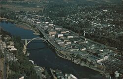Bridge over Willamette River Postcard