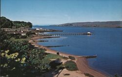 Tomales Bay, pier Postcard