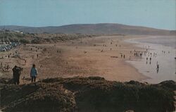 The mile long safe swimming beach Postcard