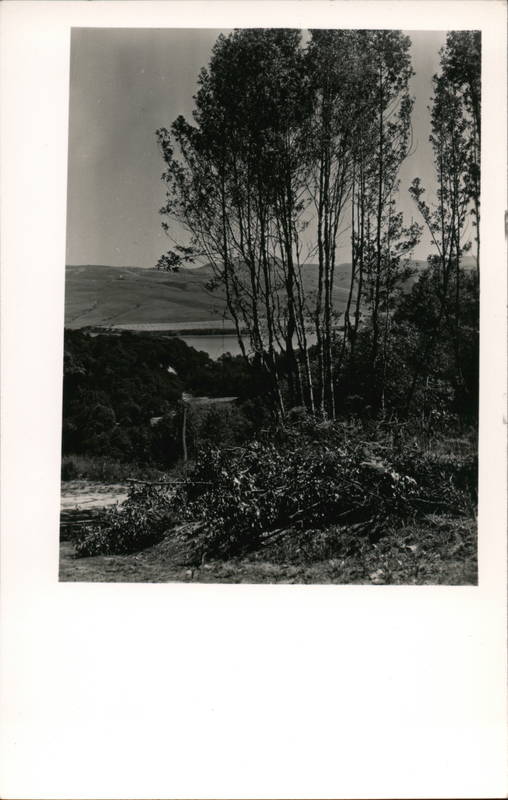 Nature Scene Inverness California