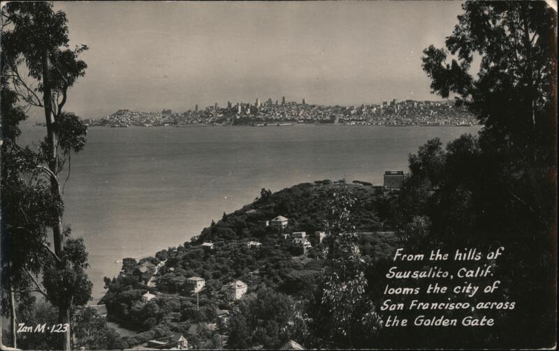 View of San Francisco from Sausalito California