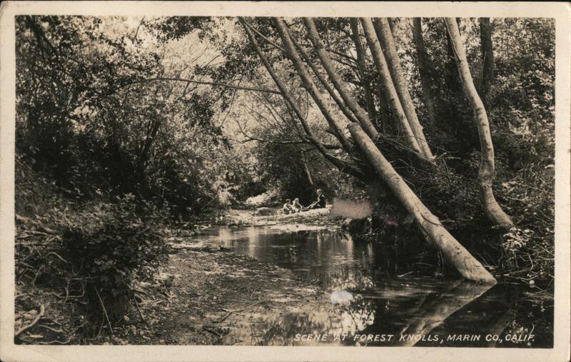 Scene at Forest Knolls, Marin Co., Calif. California