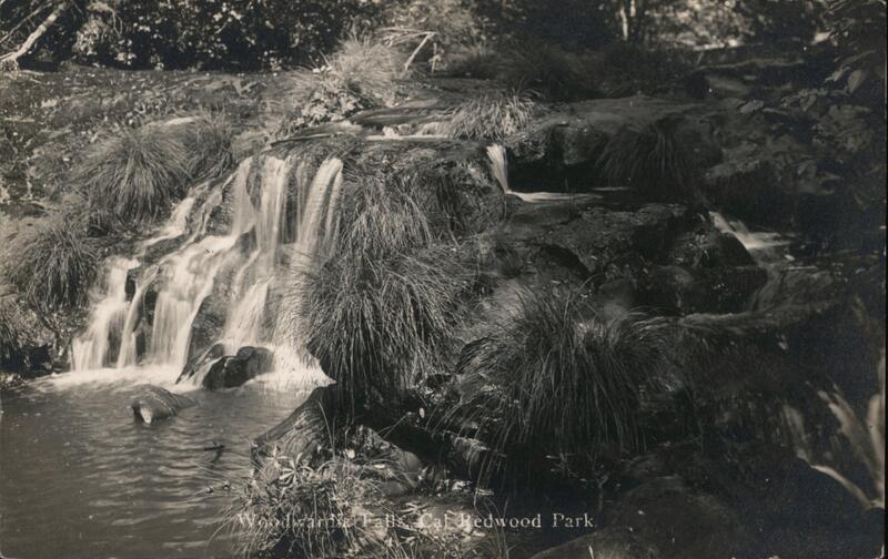 Woodwardia Falls - Redwood Forest Santa Cruz California