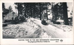 Winter Time in the San Bernardino Mountains Postcard