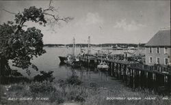 East Shore Scene Postcard