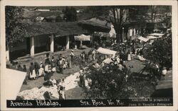 Avenida Hidalgo Postcard