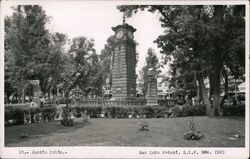 Jardin Colon Postcard
