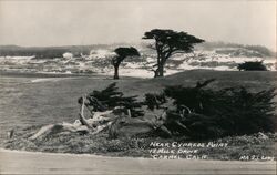 Near Cypress Point Postcard