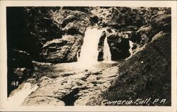 Comerio Fall Postcard