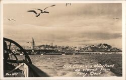 San Francisco Waterfront Postcard