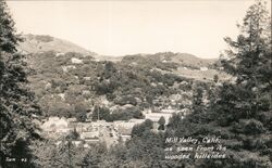 View from a Wooded Hillside Postcard