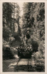 Gravity Ride - Mt. Tamalpais & Muir Woods Postcard