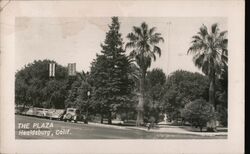 The Plaza Postcard