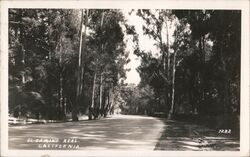 El Camino Real Postcard