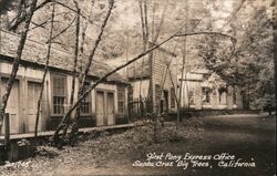 First Pony Express Office Santa Cruz Bug Trees Postcard