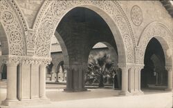 Arches at Stanford University Postcard