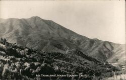 Mt. Tamalpais Postcard