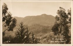 Mt. Tamalpais Postcard