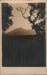 Mt. Tamalpais Postcard