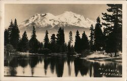 Mount Shasta Postcard