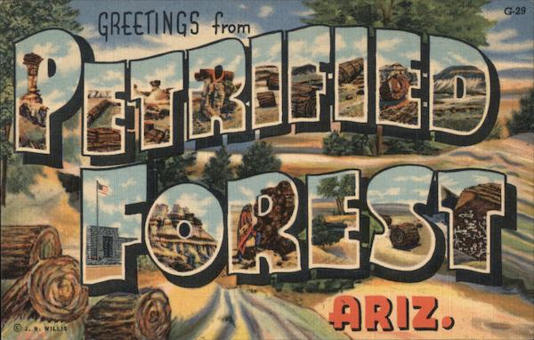 Greetings from Petrified Forest Petrified Forest National Park Arizona