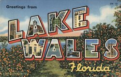 Greetings from Lake Wales Florida Postcard Postcard Postcard