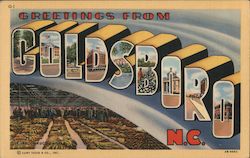 Greetings from Goldsboro North Carolina Postcard Postcard Postcard