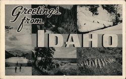 Greetings from Idaho Postcard