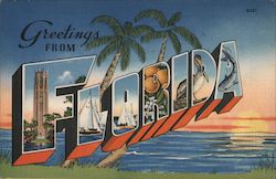 Greetings from Florida Postcard