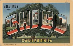 Greetings from Chico Postcard