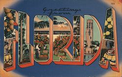 Greetings from Florida Postcard