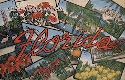 Greetings from Florida Postcard