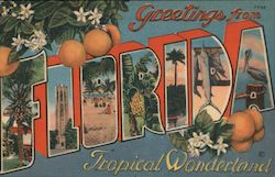 Greetings from Florida Postcard