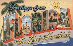 Greetings from Florida Postcard