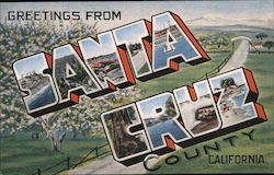 Greetings from Santa Cruz County California Postcard Postcard Postcard