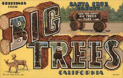 Greetings from Big Trees Postcard