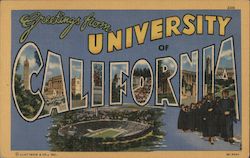 Greetings from University Of California Postcard