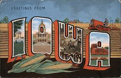 Greetings from Iowa Postcard