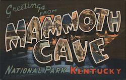 Greetings from Mammoth Cave National Park Postcard