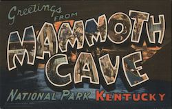 Greetings from Mammoth Cave National Park Kentucky Postcard Postcard Postcard