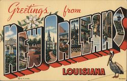 Greetings from New Orleans Postcard