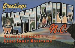 Greetings from Waynesville Postcard