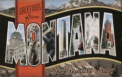 Greetings from Montana Postcard